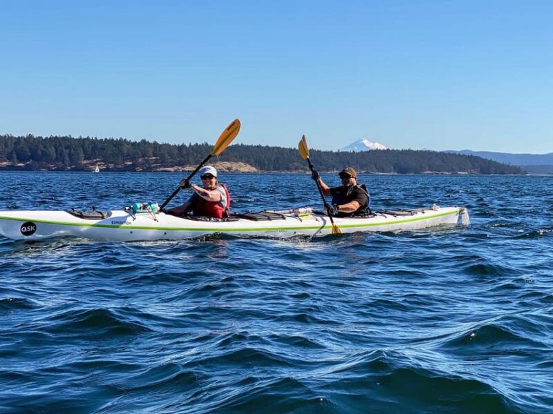 San Juan Island: Full Day Kayaking Tour With Lunch - Highlights of the Experience