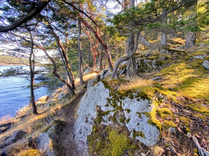 San Juan Island: Full Day Kayaking Tour With Lunch - Picnic Lunch and Views