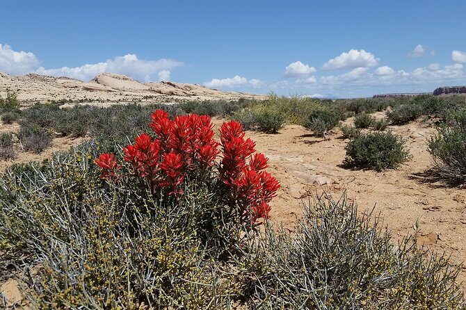 San Juan River and Hummer Cliff Dwelling Expedition - Key Points