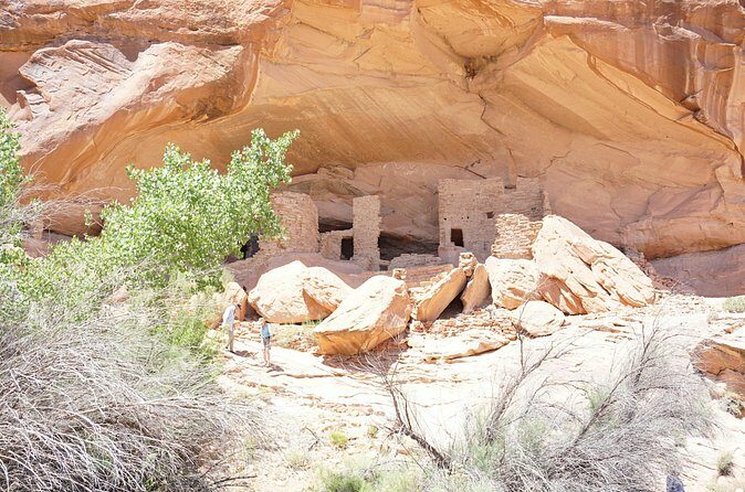 San Juan River and Hummer Cliff Dwelling Expedition - Price, Value, and Practical Details