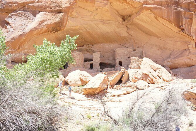San Juan River and Hummer Cliff Dwelling Expedition - Who Should Consider This Tour?