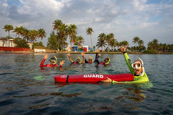San Juan Snorkeling Tour with Fish and Turtles - What the Reviews Say: Authentic Voices
