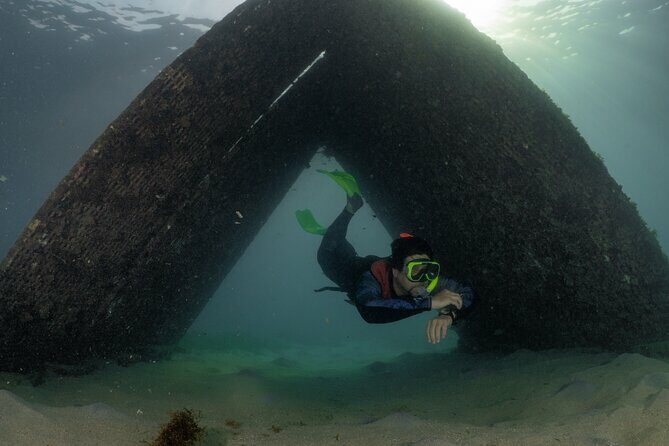 San Juan Snorkeling Tour with Fish and Turtles - Who Will Love This Tour?