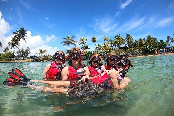 San Juan: Snorkeling with Turtles Adventure and Free Videos - An In-Depth Look at the Experience