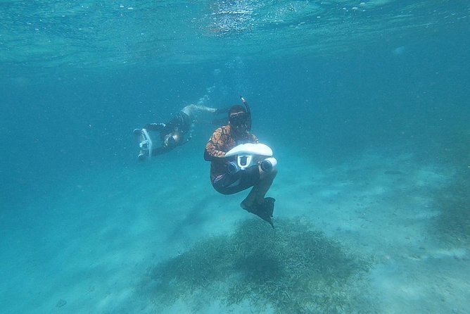 San Juan Turtle Spotting Snorkel Adventure With Videos - Meeting Details