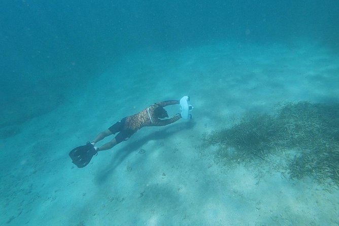 San Juan Turtle Spotting Snorkel Adventure With Videos - Value Proposition