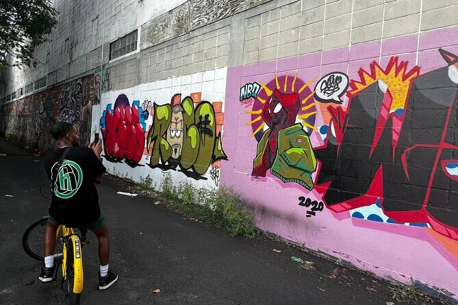 San Juan Urban Art Bike Tour 2 Hour and 4 Hour Options - Who’s This Tour Perfect For?
