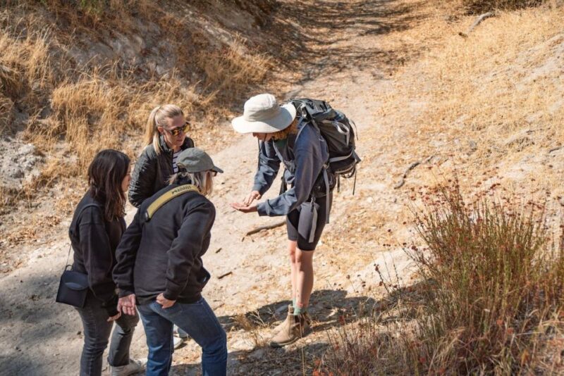 San Luis Obispo: Margarita Ranch Foraging Tour - Booking Information
