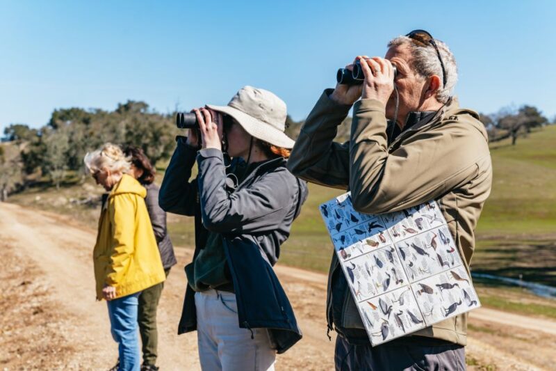 San Luis Obispo: Santa Lucia Guided Nature Tour - Pricing and Booking