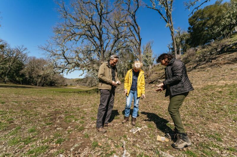 San Luis Obispo: Santa Lucia Guided Nature Tour - Experience Highlights