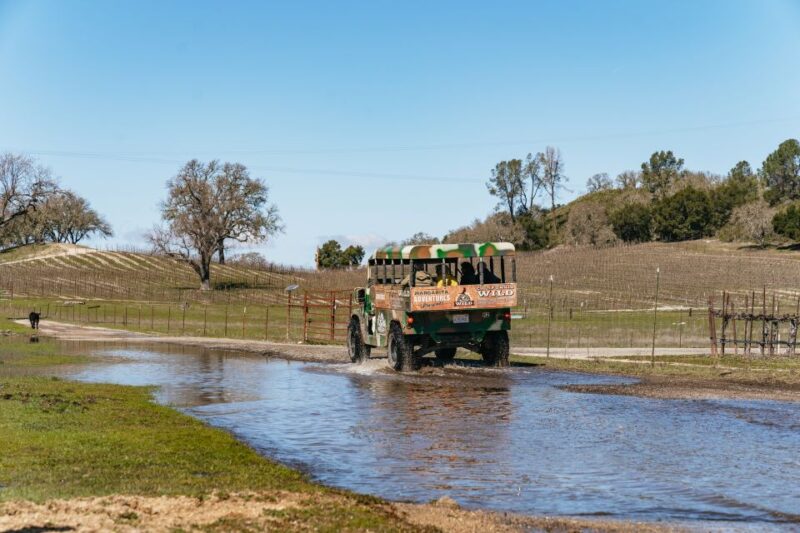 San Luis Obispo: Santa Lucia Guided Nature Tour - Included in the Tour