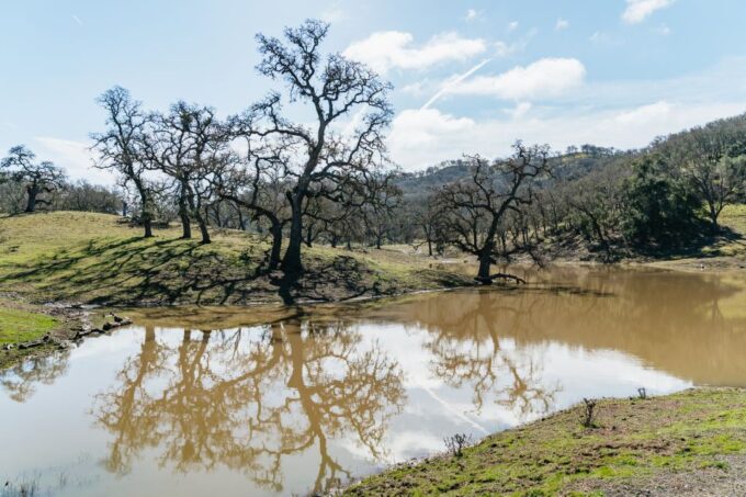 San Luis Obispo: Santa Lucia Guided Nature Tour - Discovering Local Wildlife and Flora