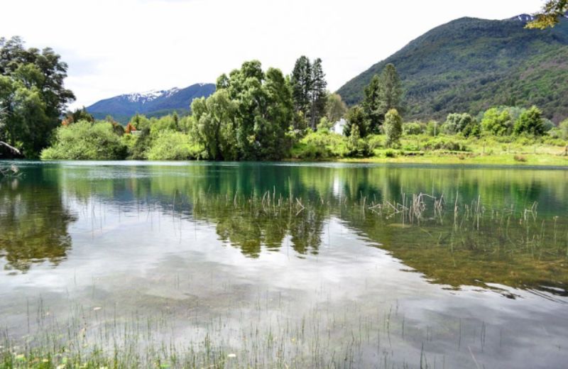 San Martin De Los Andes: Hua Hum Sightseeing Tour by Bus - Booking and Availability