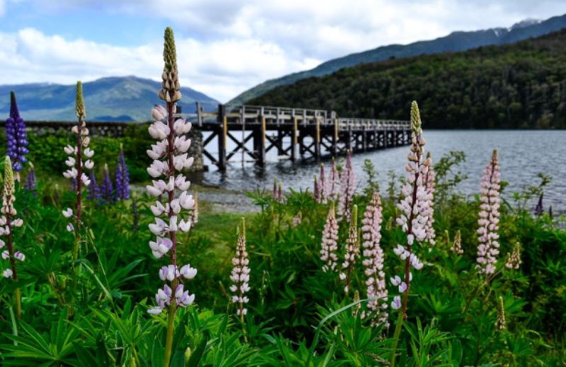 San Martin De Los Andes: Hua Hum Sightseeing Tour by Bus - Historical Sites