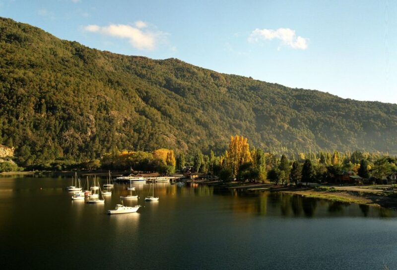 San Martín De Los Andes via 7 Lakes - Traveler Insights