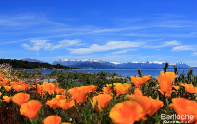 San Martín De Los Andes via the 7 Lakes - Stops and Scenery