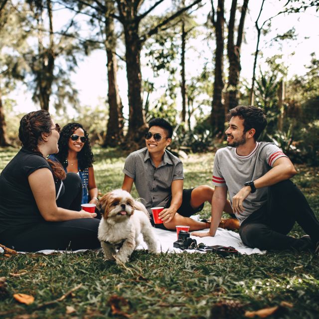 San Martín Park: Yoga Class and Mate - Experience Details