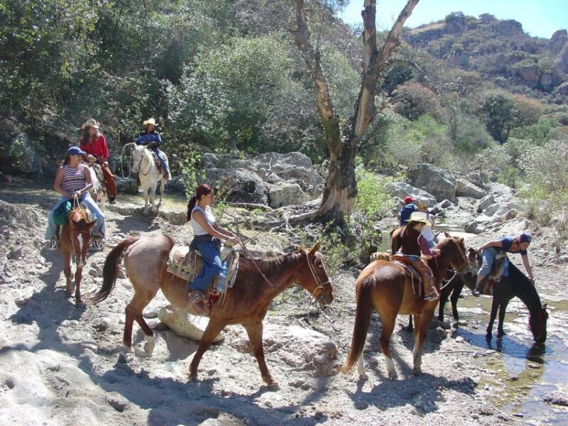 San Miguel Allende: Half-Day Horseback Riding Adventure - Key Points