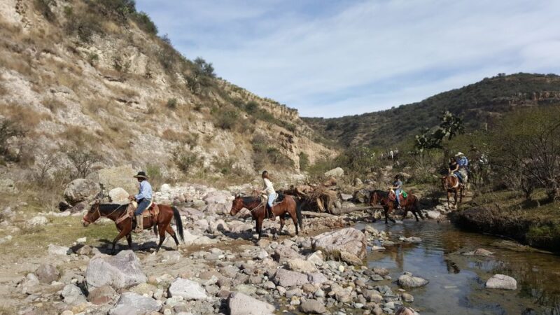 San Miguel Allende: Half-Day Horseback Riding Adventure - Preparation Tips
