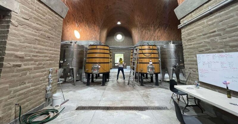 San Miguel De Allende: a Journey Through Vineyards - Key Points