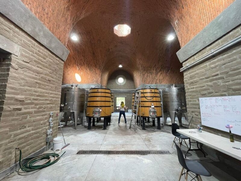 San Miguel De Allende: a Journey Through Vineyards - Highlights of the Experience