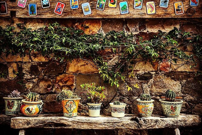 San Miguel De Allende Arts and Snacks Walking Tour - Traveler Reviews