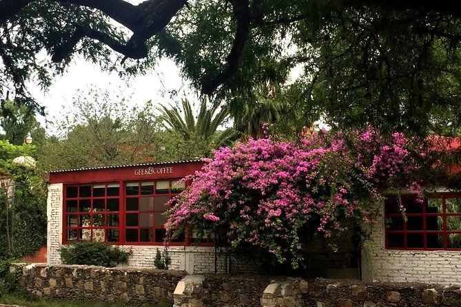 San Miguel De Allende Arts and Snacks Walking Tour - Breakfast at the Market