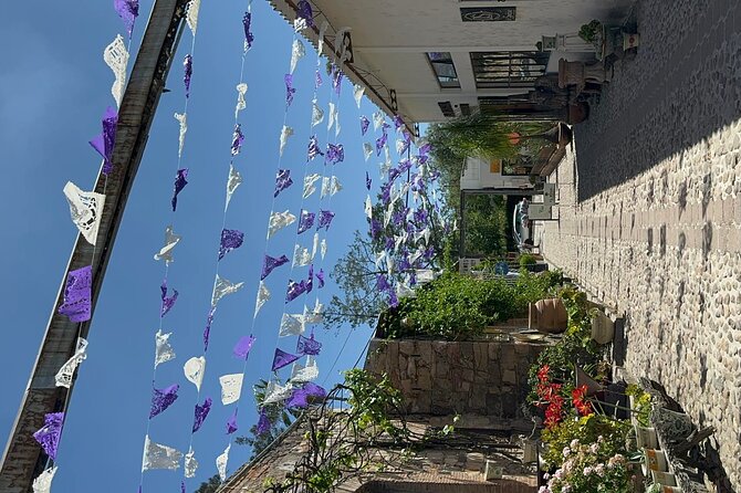 San Miguel De Allende Arts and Snacks Walking Tour - Exploring Colorful Murals
