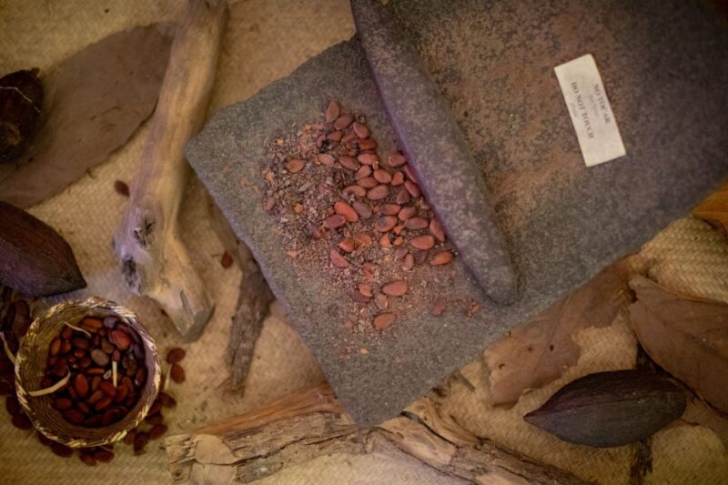 San Miguel De Allende: Chocolate Tasting and Walking Tour - Chocolate Tasting Experience