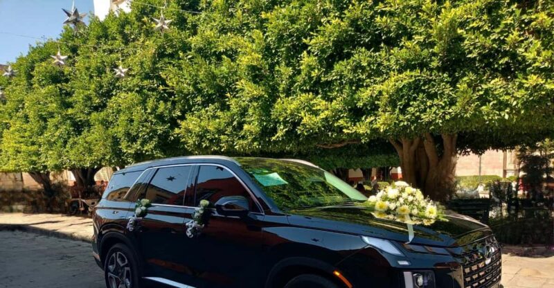 San Miguel De Allende: Ground Transportation Service - Transportation Options