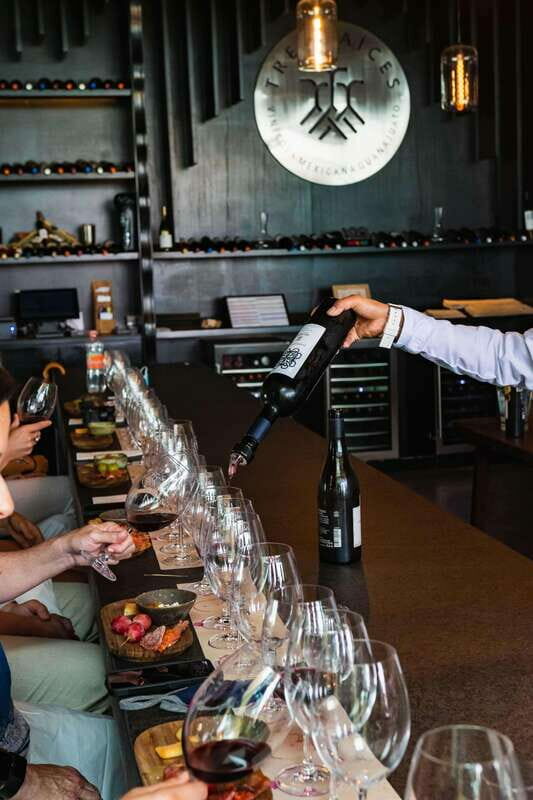 San Miguel de Allende: Local Vineyard Tour & Wine Tasting - Who Will Love This Tour?