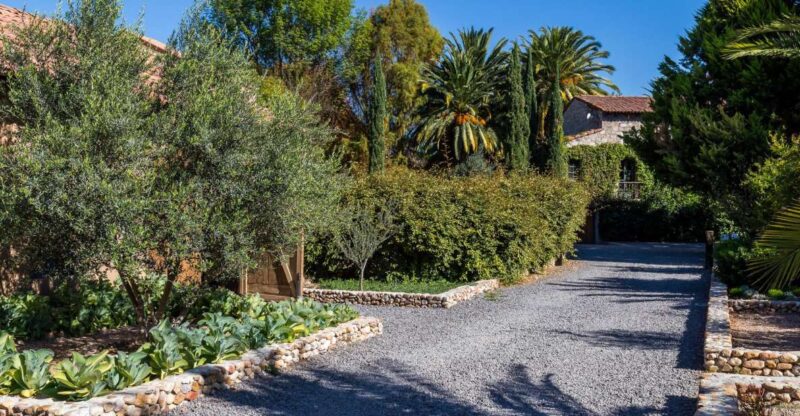 San Miguel De Allende: Tour of 2 Vineyards With Wine Tasting - Experience Highlights