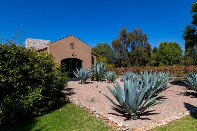 San Miguel De Allende: Tour of 2 Vineyards With Wine Tasting - Participant Information