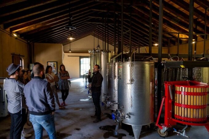 San Miguel De Allende: Tour of 2 Vineyards With Wine Tasting - Family-Owned Vineyard Exploration