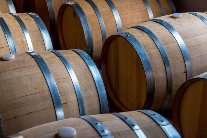 San Miguel De Allende: Tour of 2 Vineyards With Wine Tasting - Wine Tasting and Pairing