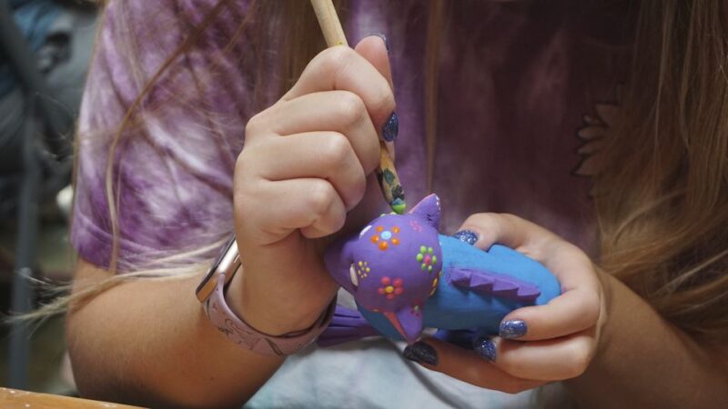 San Miguel De Cozumel: Alebrije Traditional Painting Class - Workshop Venue