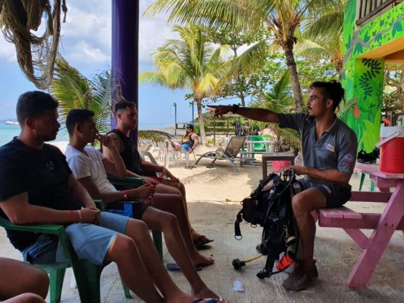 San Miguel De Cozumel: Open Water Scuba Diving Course - Key Points