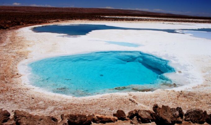 San Pedro Atacama: Baltinache Lagoons and Magic Bus Tour - Customer Feedback