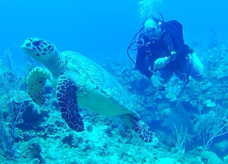 San Pedro, Belize Scuba Diving - Dive Shop Services Offered
