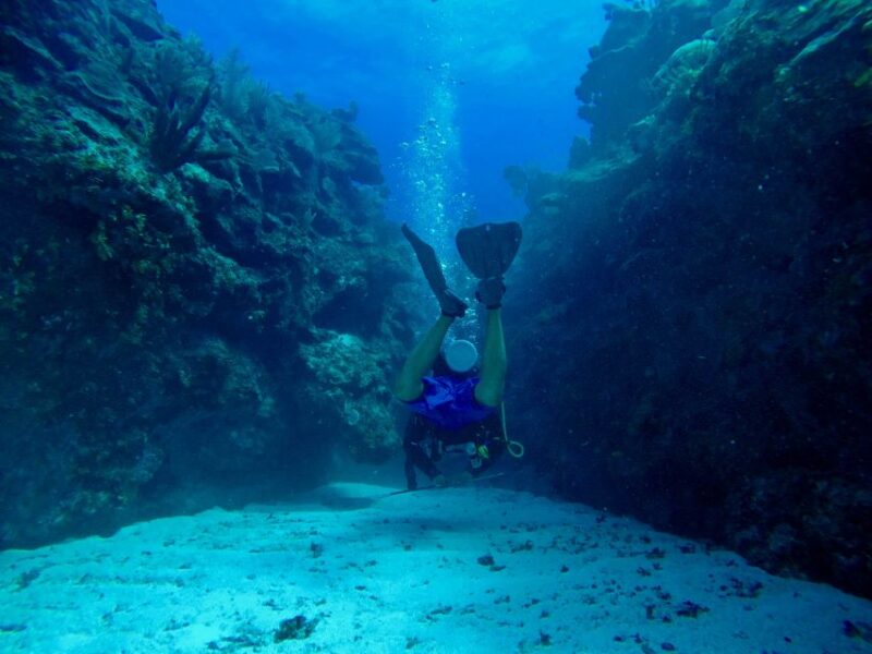 San Pedro, Belize Scuba Diving - Convenient Pick-up and Drop-off