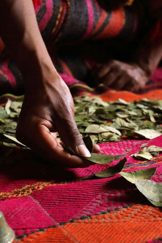 San Pedro Ceremony and Flowering Bath With Coca Reading - Ceremony Details