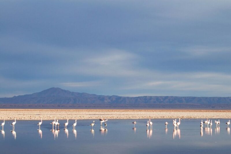 San Pedro De Atacama: 4-Day Magic Desert Tour - Tour Duration and Group Size