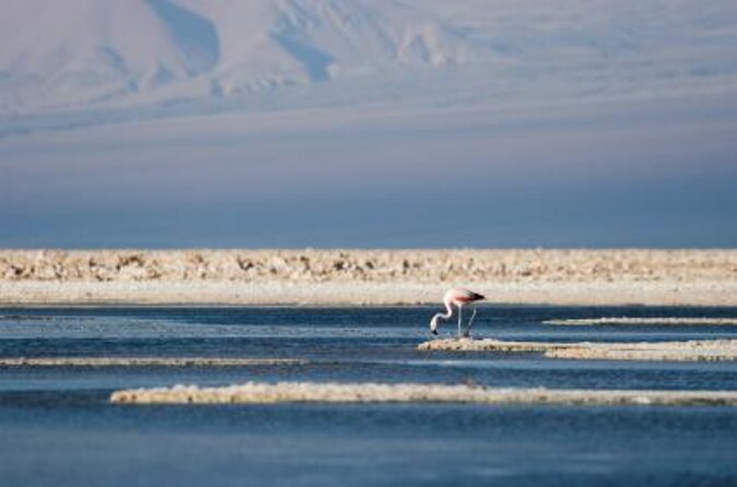 San Pedro De Atacama: 4-Days Magic Desert Adventure - Key Points