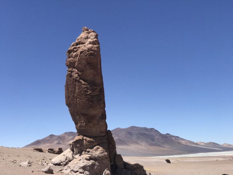 San Pedro De Atacama: Atacama Desert and Salt Flats Day Trip - Customer Reviews and Feedback