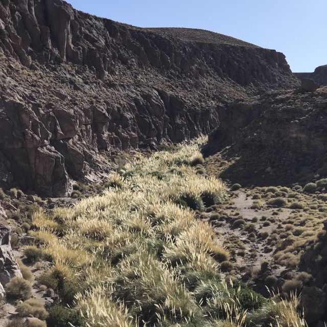 San Pedro De Atacama: Canyon Swimming Pools Trekking Trip - Important Information