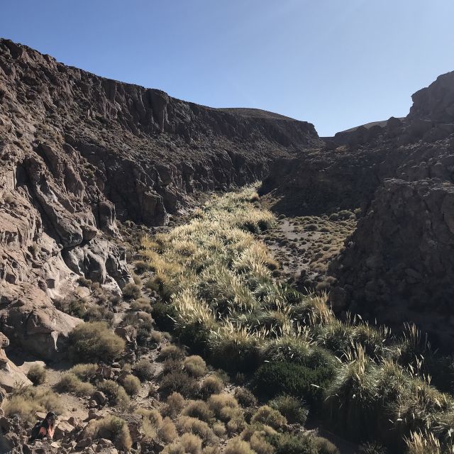 San Pedro De Atacama: Canyon Swimming Pools Trekking Trip - Highlights of the Trek