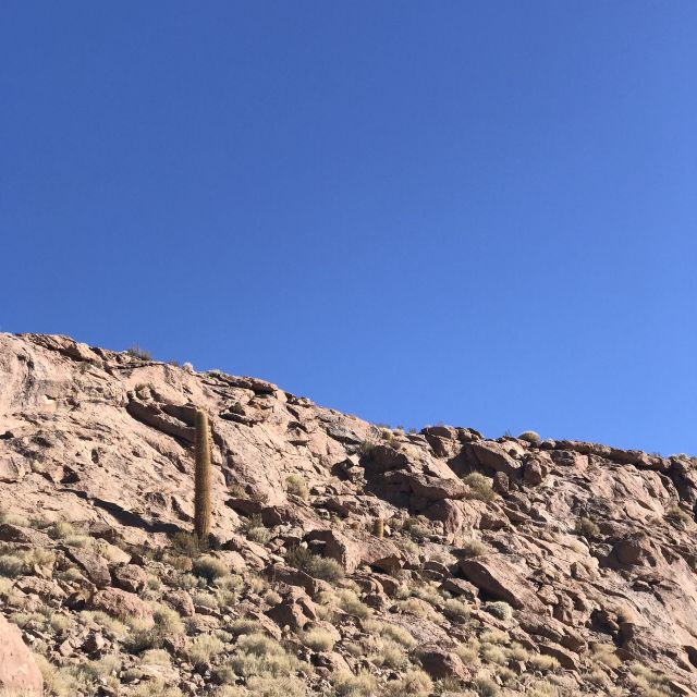 San Pedro De Atacama: Canyon Swimming Pools Trekking Trip - Exploring the Atacama Desert