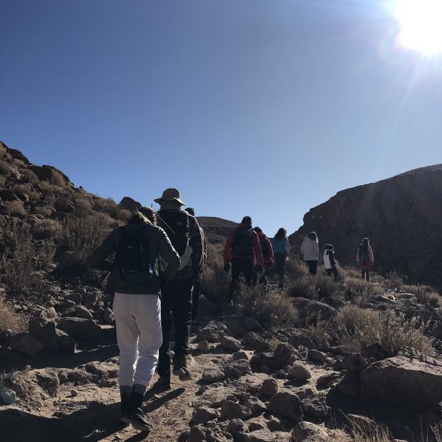San Pedro De Atacama: Canyon Swimming Pools Trekking Trip - Customer Testimonials