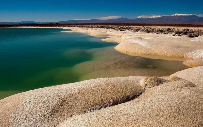 San Pedro De Atacama: Cejar and Tebenquiche Lagoon - Tour Highlights