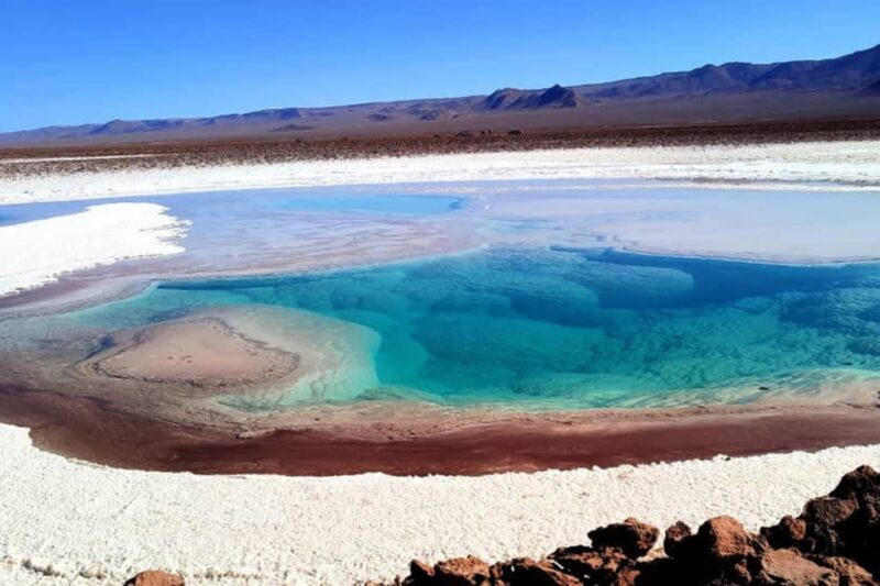 San Pedro De Atacama: Cejar and Tebenquiche Lagoon - Cejar Lagoon Details